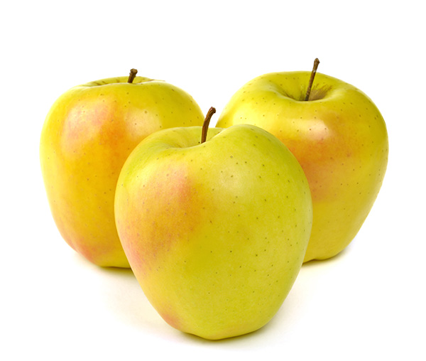 Dorsett Golden Apple Clausen Nursery