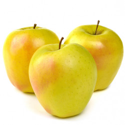 Dorsett Golden Apple Clausen Nursery