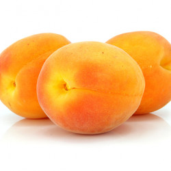 Royal/Blenheim Apricot Clausen Nursery