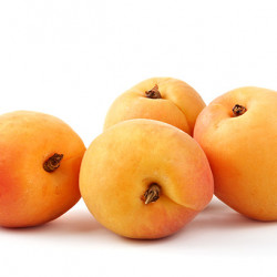 Goldkist Apricot Clausen Nursery