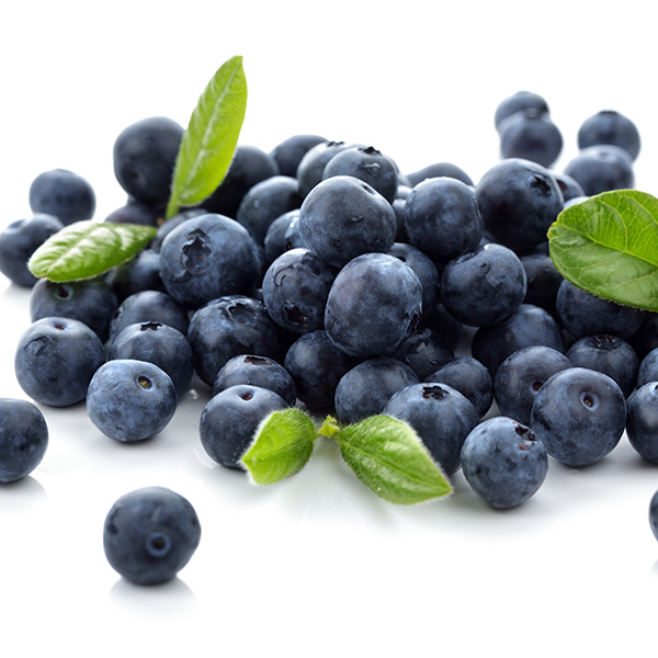 Blueberry Bushes