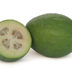 Pineapple Guava/Feijoa