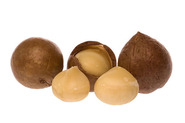Jordan Macadamia Nut