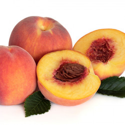 Bonita Peach Clausen Nursery