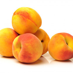 Rubidoux Peach Clausen Nursery