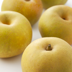 Shinseiki Asian Pear Clausen Nursery