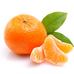 Dancy Tangerine