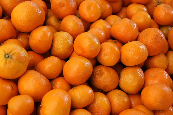 Murcott (Honey Tangerine) - Clausen Nursery